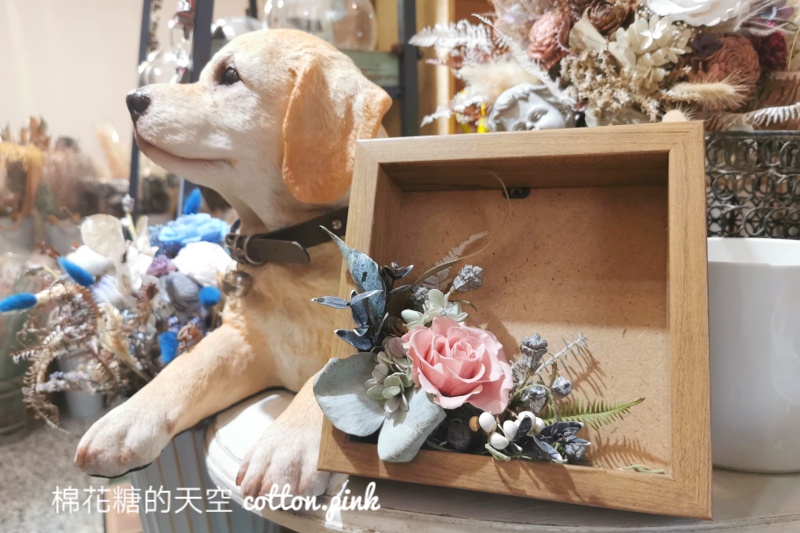 買到剁手！台中綠川旁邊巷子裡-小巷莫兒雜貨、乾燥花束通通買得到