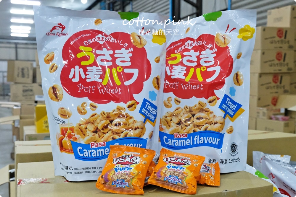 直擊進口零食直播千坪大倉庫！團購超夯商品疲老闆直播現場直接帶回家～