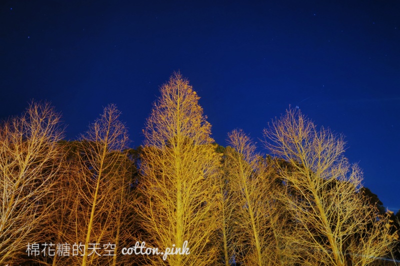 台中夜景來這家！MITAKA 3e cafe龍貓夜景咖啡不只夜景美～庭園小平房好像來到國外
