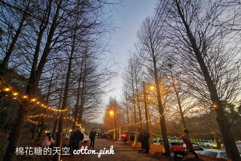 台中夜景來這家！MITAKA 3e cafe龍貓夜景咖啡不只夜景美～庭園小平房好像來到國外