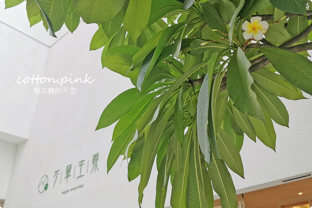 台中公益路最新純白餐廳開賣了！不葷主義冰花煎餃、三杯魷花、打拋豬肉完全吃不出來是素食阿！