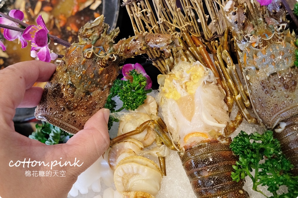 台中太平火鍋最新海鮮大餐～龍蝦帶頭共七種海鮮還有哈根達斯做甜點！大推上尚坊燒酒鍋、麻奶鍋湯底