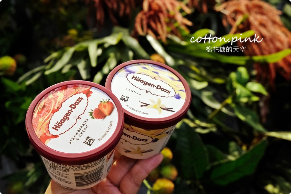 台中太平火鍋最新海鮮大餐～龍蝦帶頭共七種海鮮還有哈根達斯做甜點！大推上尚坊燒酒鍋、麻奶鍋湯底