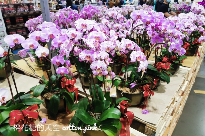 2022好市多最新春節海鮮、肉品組合現場直擊~線上還有隱藏版!過年營業時間看這篇 2022好市多最新春節海鮮、肉品組合現場直擊~線上還有隱藏版!過年營業時間看這篇