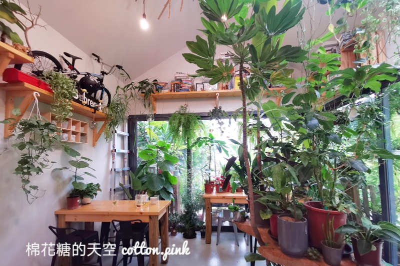 台中新社隱藏咖啡廳-右之界森林系咖啡被滿滿植物包圍，沒有地標不好找～