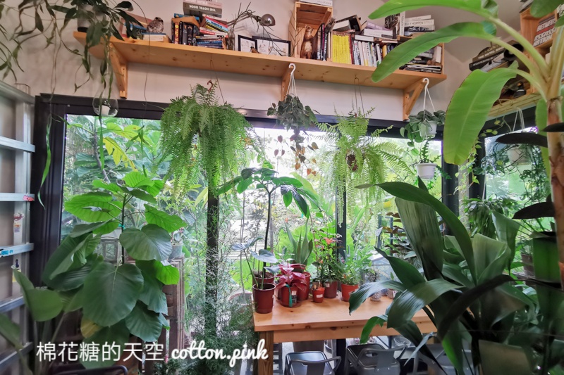 台中新社隱藏咖啡廳-右之界森林系咖啡被滿滿植物包圍，沒有地標不好找～