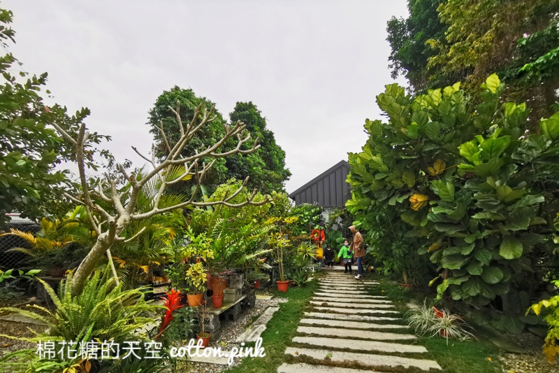 台中新社隱藏咖啡廳-右之界森林系咖啡被滿滿植物包圍，沒有地標不好找～