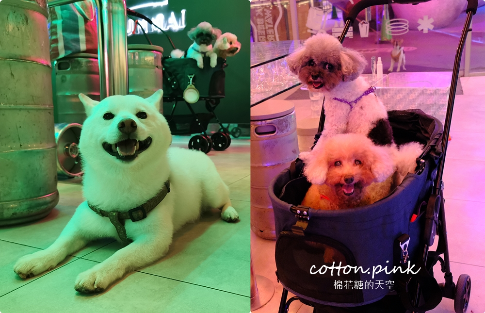 台中后里草地動物節～吼哩跑跳祭-蹓蹓市集只有一天！逛起來