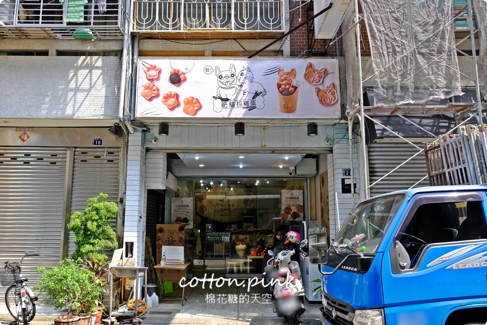 肥貓抓雞蛋東泉雞蛋糕