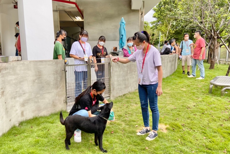 台中后里草地動物節～吼哩跑跳祭-蹓蹓市集只有一天！逛起來