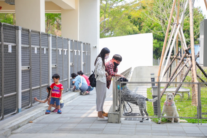 台中后里草地動物節～吼哩跑跳祭-蹓蹓市集只有一天！逛起來