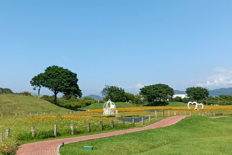 台中后里草地動物節～吼哩跑跳祭-蹓蹓市集只有一天！逛起來