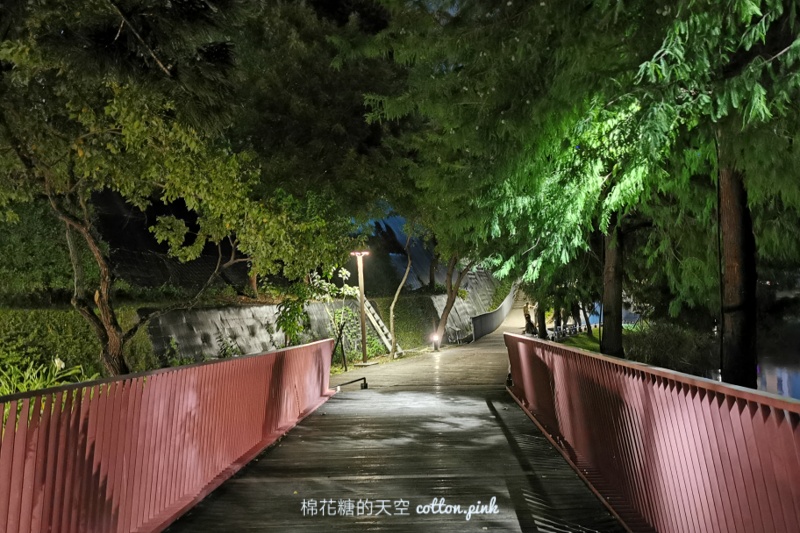 台中夜景市區也可以看！秋紅谷湖心倒影超美超浪漫