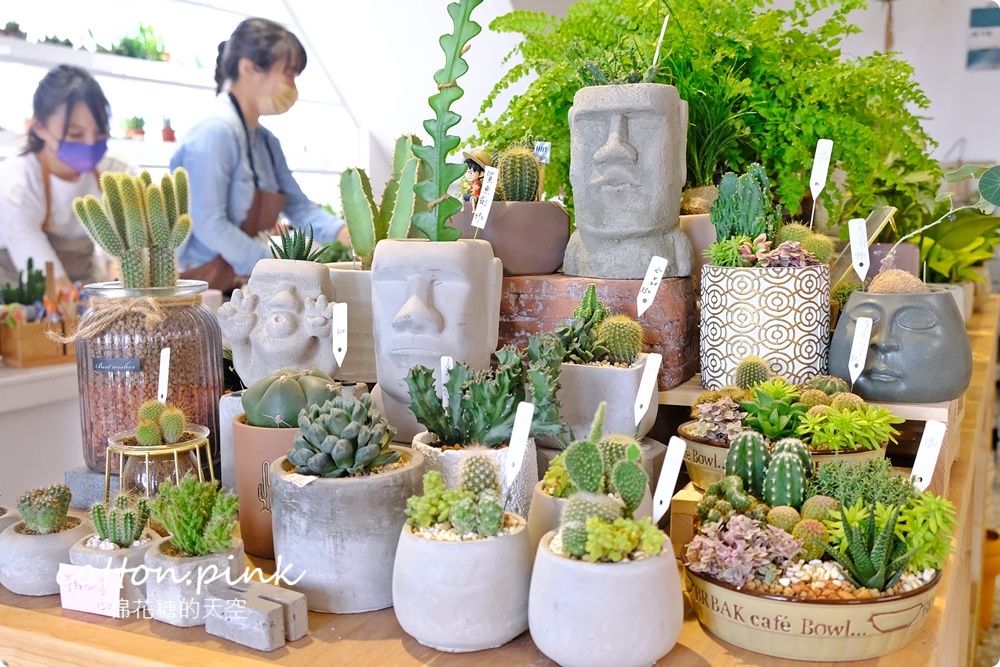 丸子植物工作室