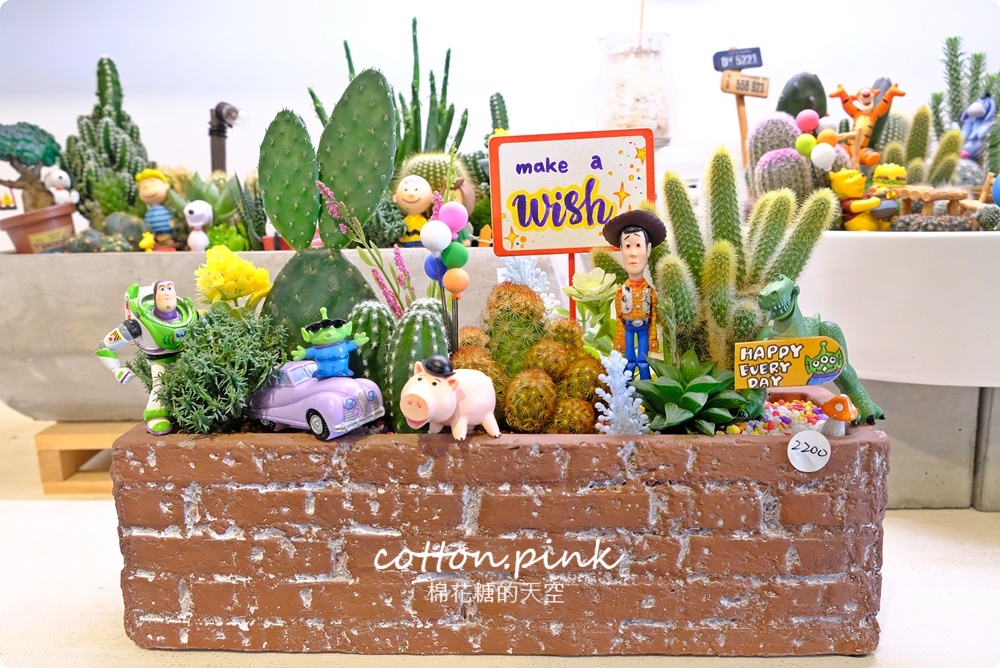 丸子植物工作室