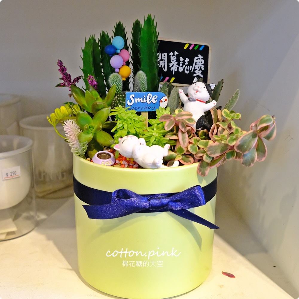 台中送禮好選擇！丸子植物工作室客製化多肉盆栽超療癒！