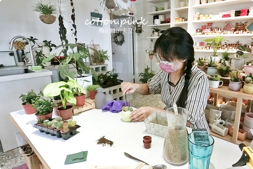 丸子植物工作室