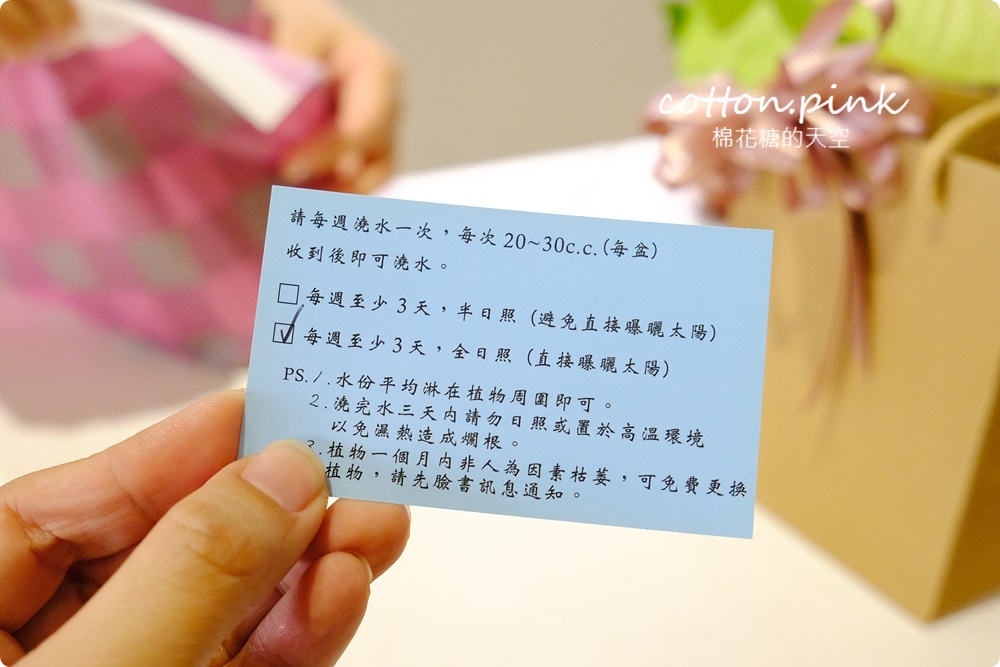 台中送禮好選擇！丸子植物工作室客製化多肉盆栽超療癒！