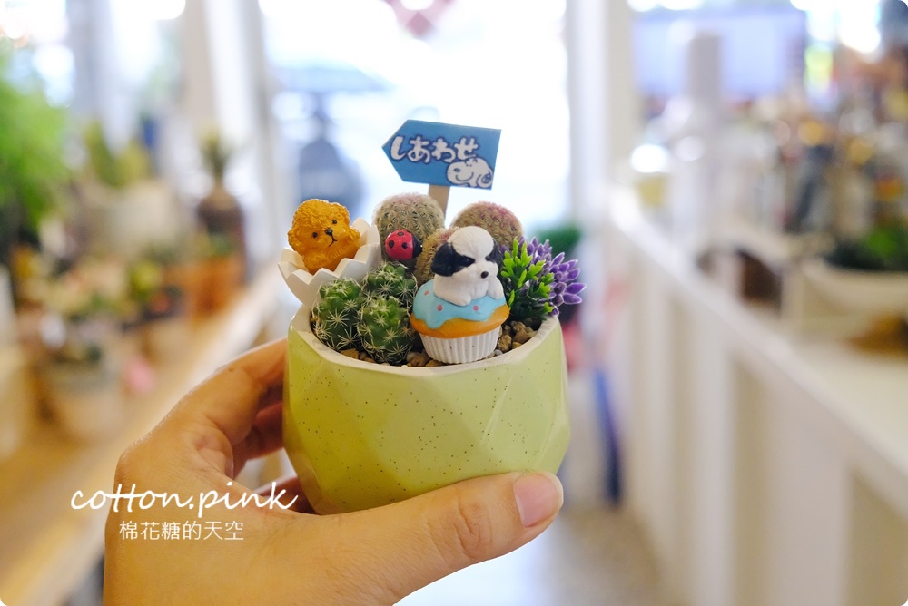 丸子植物工作室