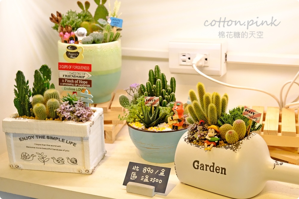 台中送禮好選擇！丸子植物工作室客製化多肉盆栽超療癒！