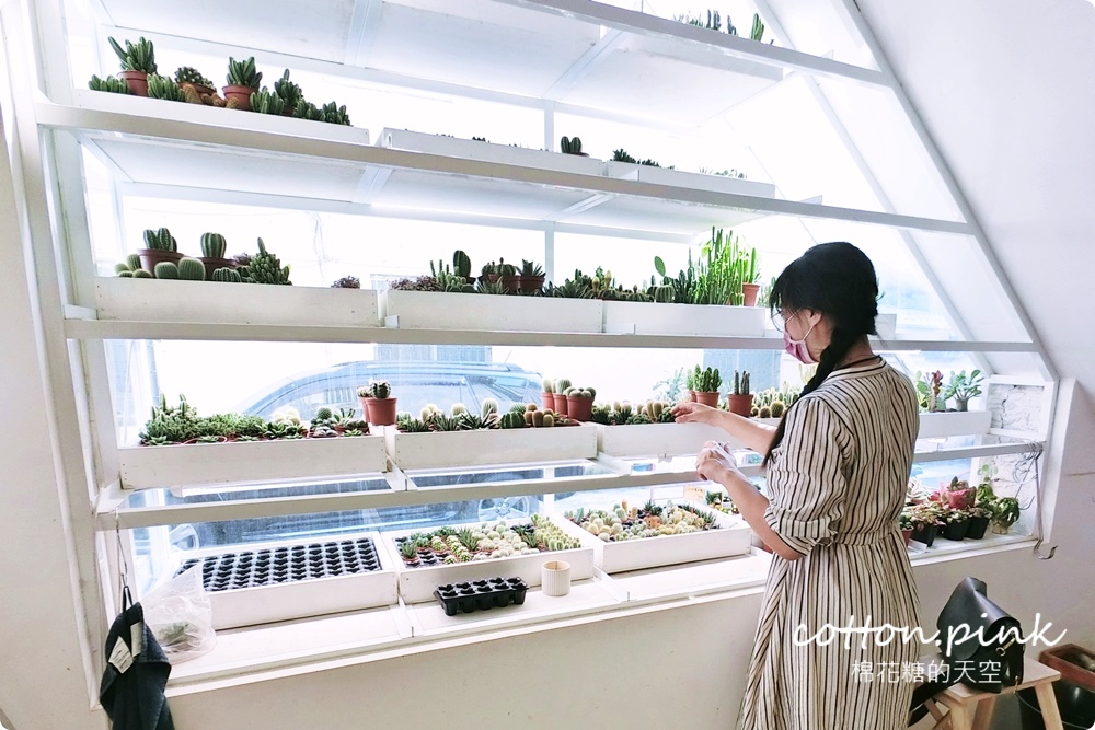 丸子植物工作室