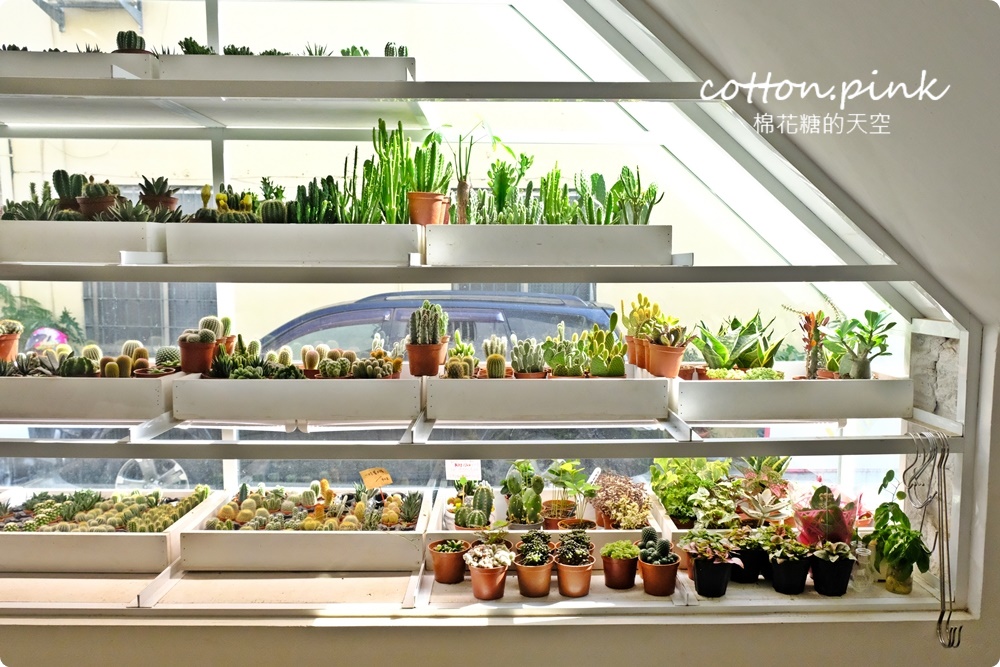 台中送禮好選擇！丸子植物工作室客製化多肉盆栽超療癒！