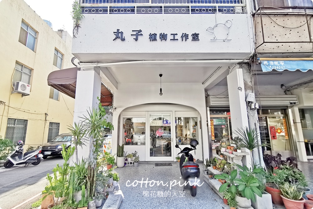 丸子植物工作室