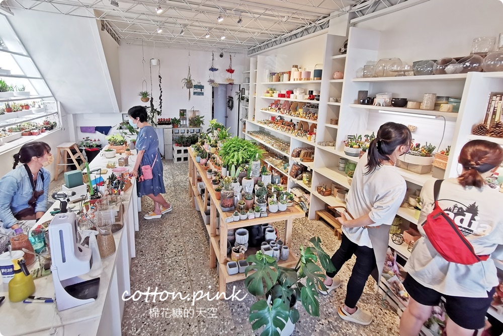 丸子植物工作室