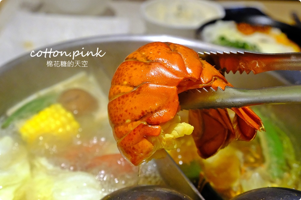 台中海鮮火鍋推薦|菁饌涮涮鍋