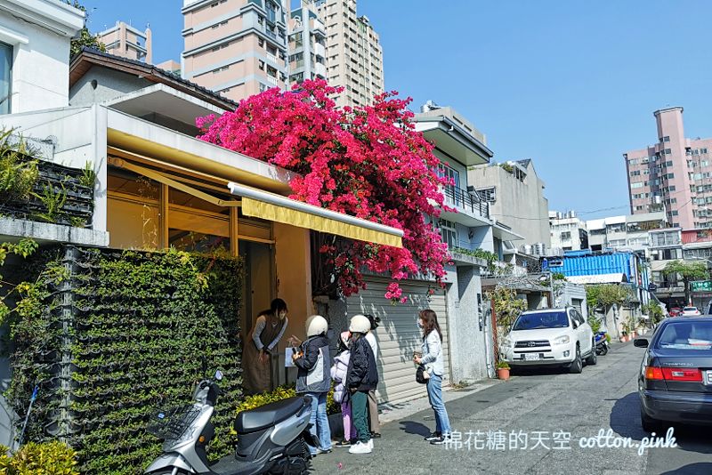 台中巨大九重葛盛開中！就在台中市區～不用跑遠也有美景