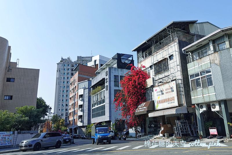 台中巨大九重葛盛開中！就在台中市區～不用跑遠也有美景