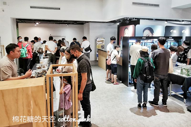 台中少見變色龍、守宮市集～室內展出近距離體驗快來逛！艸我的方向走來～只到週日