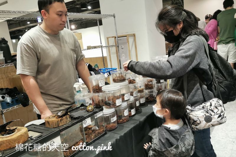 台中少見變色龍、守宮市集～室內展出近距離體驗快來逛！艸我的方向走來～只到週日