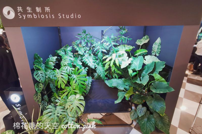 台中少見變色龍、守宮市集～室內展出近距離體驗快來逛！艸我的方向走來～只到週日