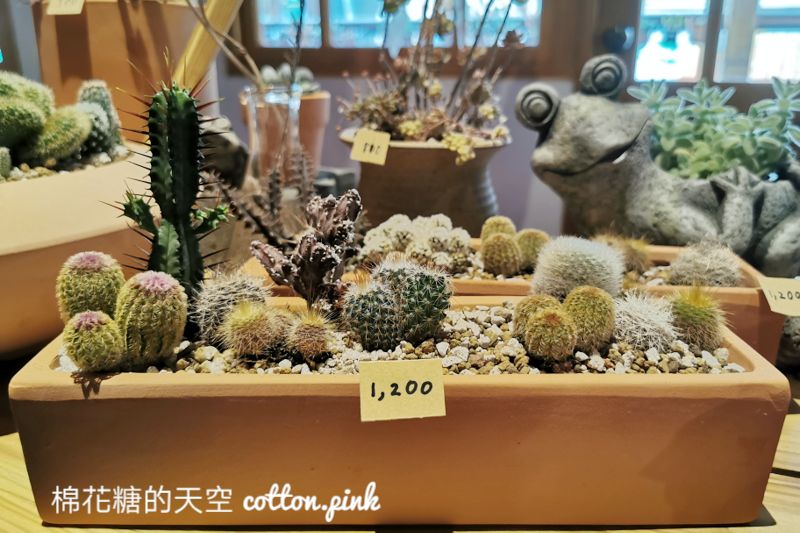 台中最新二手市集在酒家?!快來中區老宅挖寶去～
