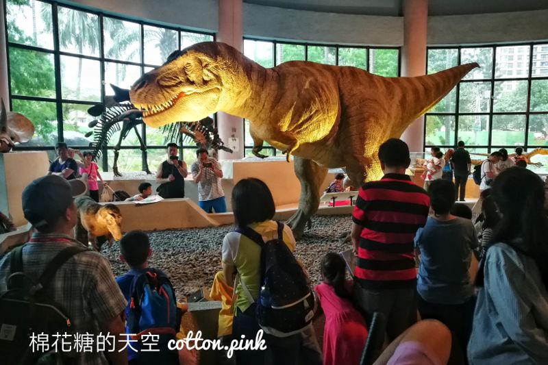 慶祝兒童節！台中科博館4/4兒童免費入館看恐龍！只有一天～