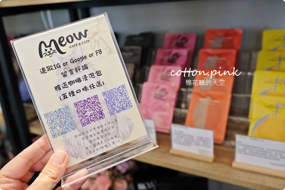 台中貓咪咖啡這家最療癒！來喵屋咖啡Meow Cafe享受被貓咪包圍
