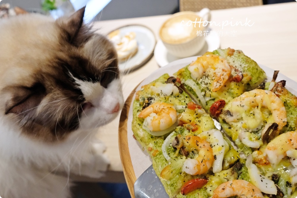 台中貓咪咖啡這家最療癒！來喵屋咖啡Meow Cafe享受被貓咪包圍