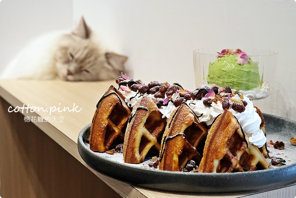 台中貓咪咖啡這家最療癒！來喵屋咖啡Meow Cafe享受被貓咪包圍