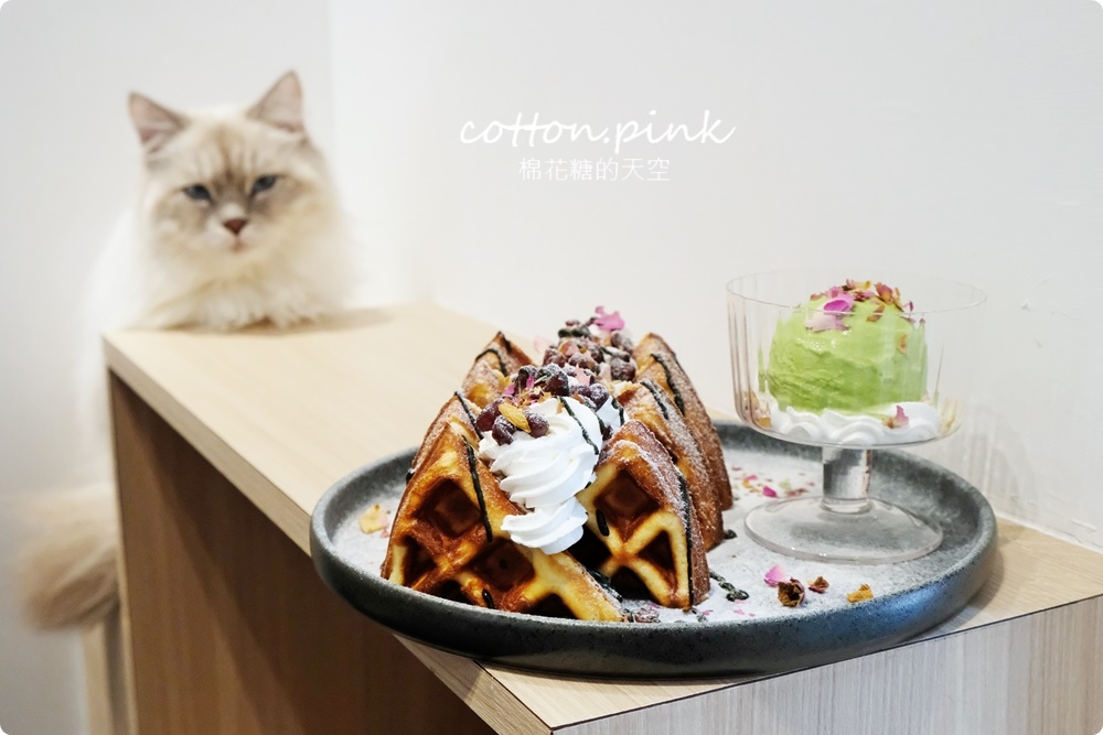台中貓咪咖啡這家最療癒！來喵屋咖啡Meow Cafe享受被貓咪包圍