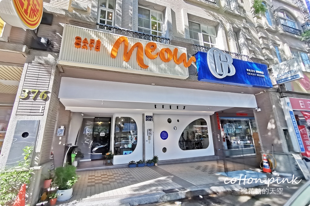 台中貓咪咖啡這家最療癒！來喵屋咖啡Meow Cafe享受被貓咪包圍