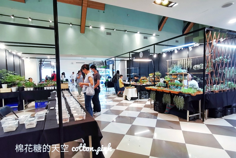 台中少見變色龍、守宮市集～室內展出近距離體驗快來逛！艸我的方向走來～只到週日