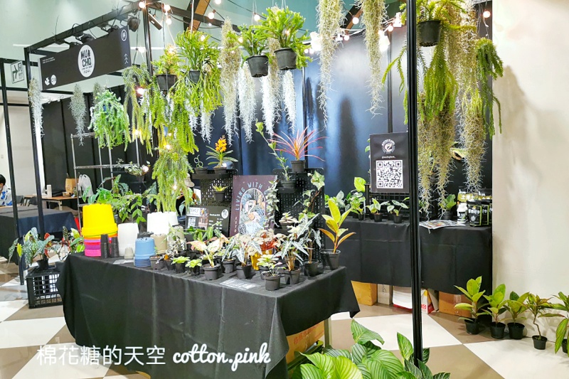 台中少見變色龍、守宮市集～室內展出近距離體驗快來逛！艸我的方向走來～只到週日