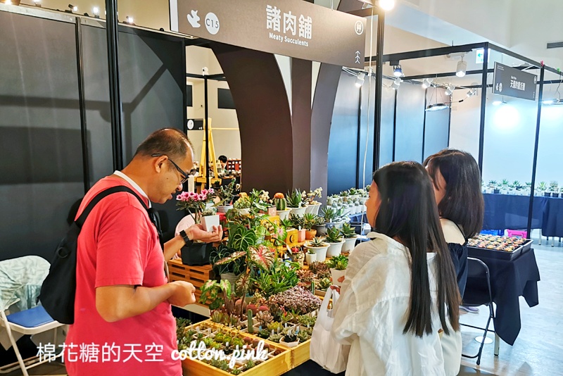 台中少見變色龍、守宮市集～室內展出近距離體驗快來逛！艸我的方向走來～只到週日