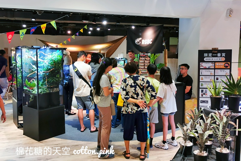 台中少見變色龍、守宮市集～室內展出近距離體驗快來逛！艸我的方向走來～只到週日