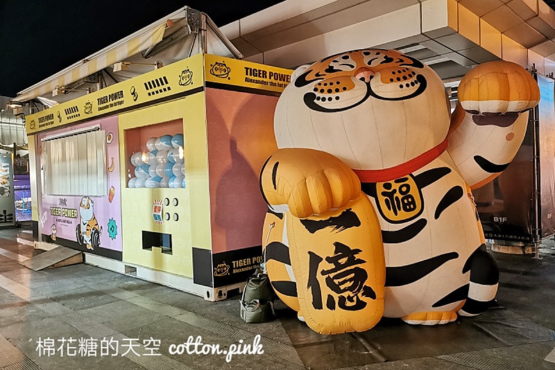 超過兩米!萌萌大胖虎快閃現身草悟廣場~打造療癒健身房 超過兩米!萌萌大胖虎快閃現身草悟廣場~打造療癒健身房