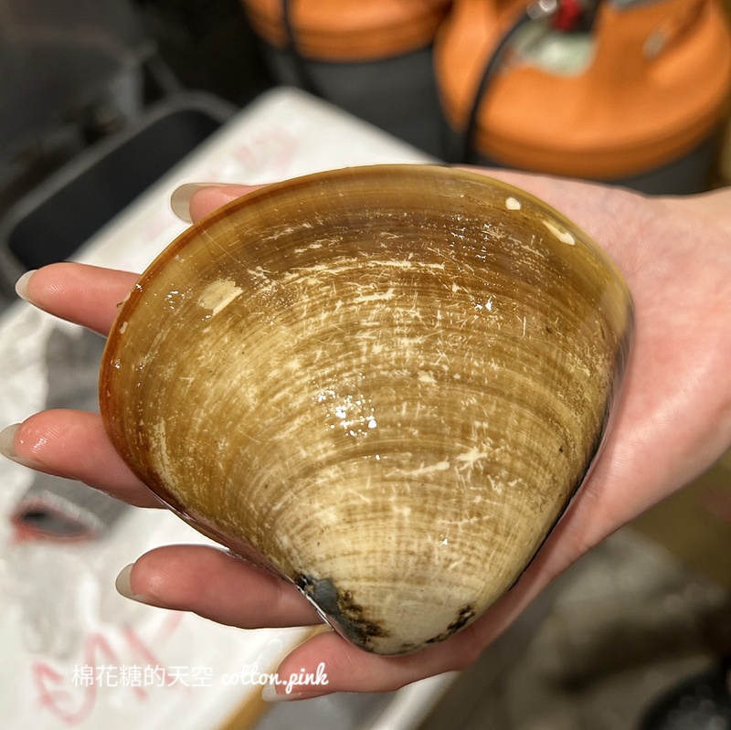台中夜市最新推薦-海鮮饗宴，現蒸宜蘭黃金蟹、海釣透抽甜甜價