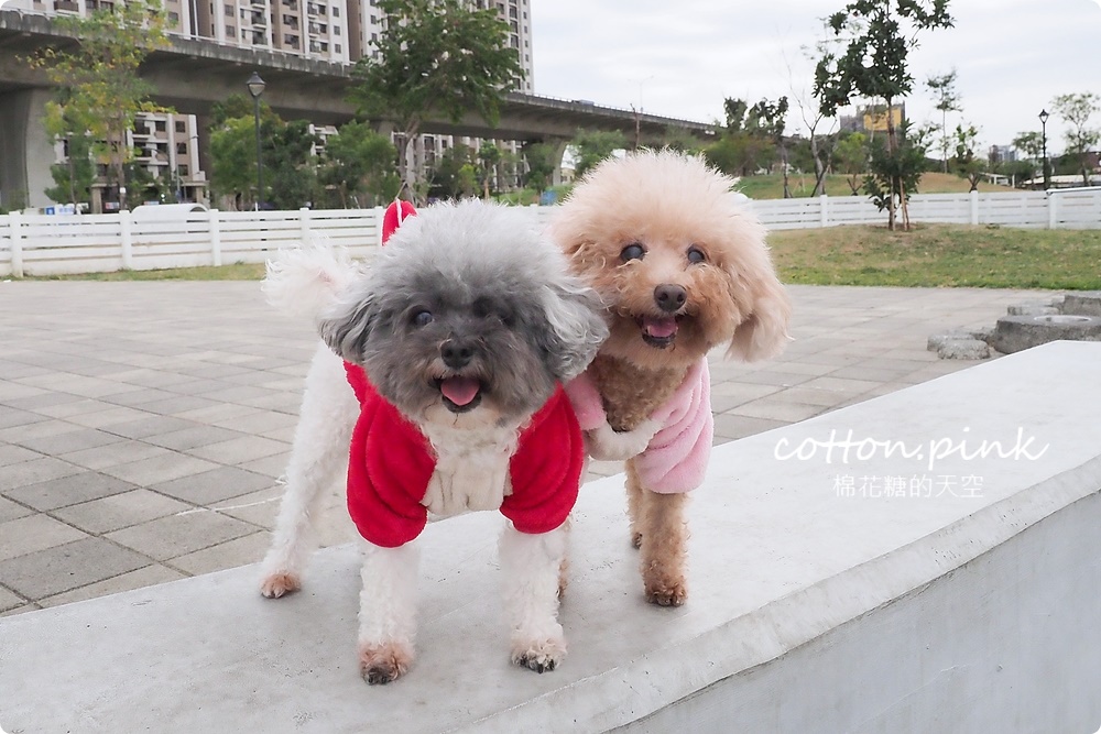 台中最夯公園-馬卡龍公園玩到不想回家啦！周邊好料美食推薦看這篇～