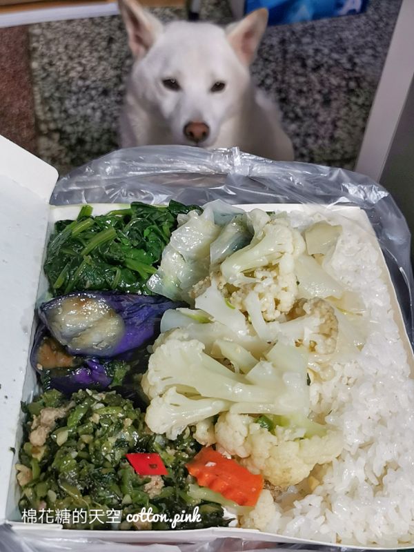 台中中國醫人氣便當店-好味便當快餐選擇多!菜飯可選五種配菜甜甜價