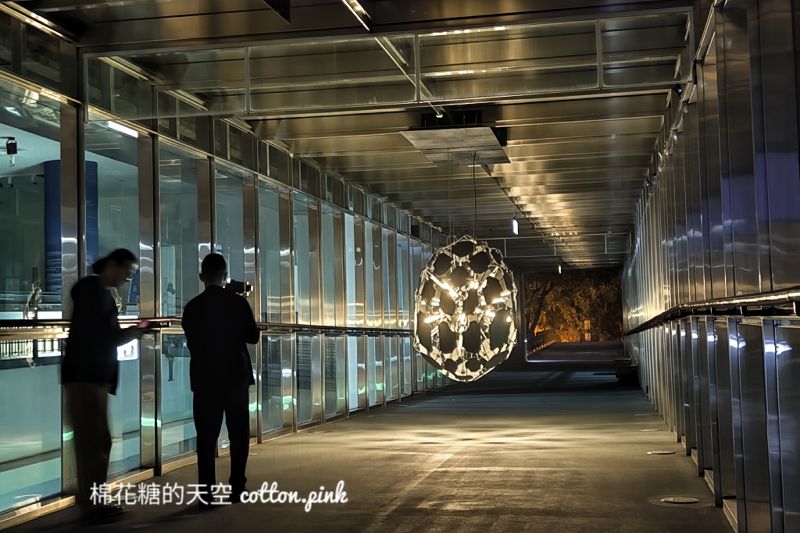 2024台灣國際光影藝術節即將開幕！每晚五點亮燈搶先看